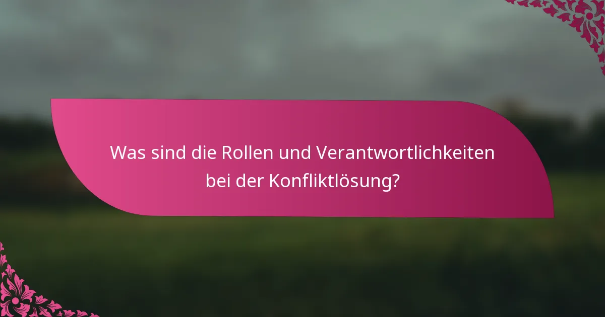 Was sind die Rollen und Verantwortlichkeiten bei der Konfliktlösung?